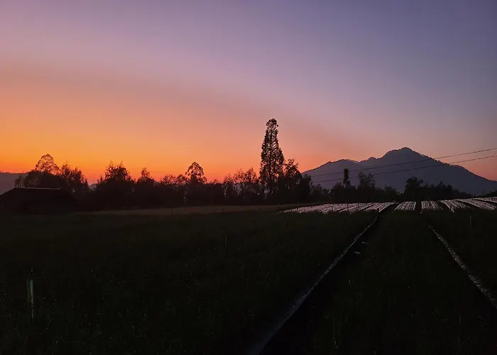 Volcano